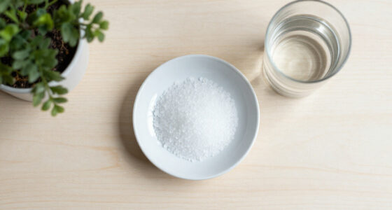 Xylitol Cardiovascular Risk Study