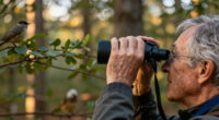 Birdwatching Rewires The Brain And Slows Cognitive Decline